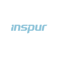 INSPUR (1)